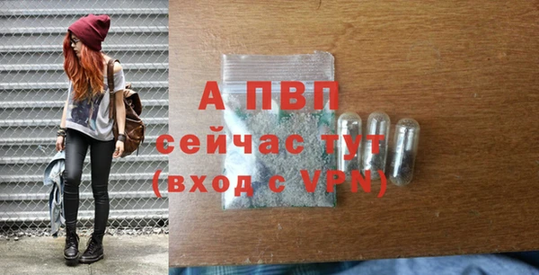 прущие грибы Нефтекумск