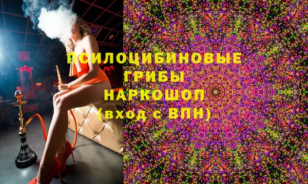 гидра Дрезна