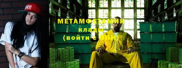 прущие грибы Нефтекумск