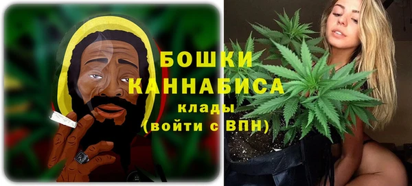 прущие грибы Нефтекумск