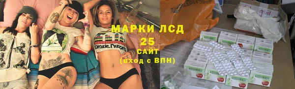 прущие грибы Нефтекумск