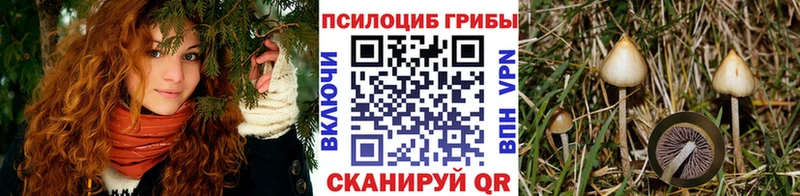 купить  сайты  Игарка  Галлюциногенные грибы прущие грибы 