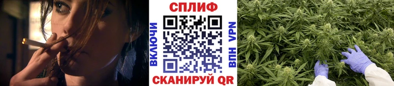 Конопля THC 21%  Игарка 